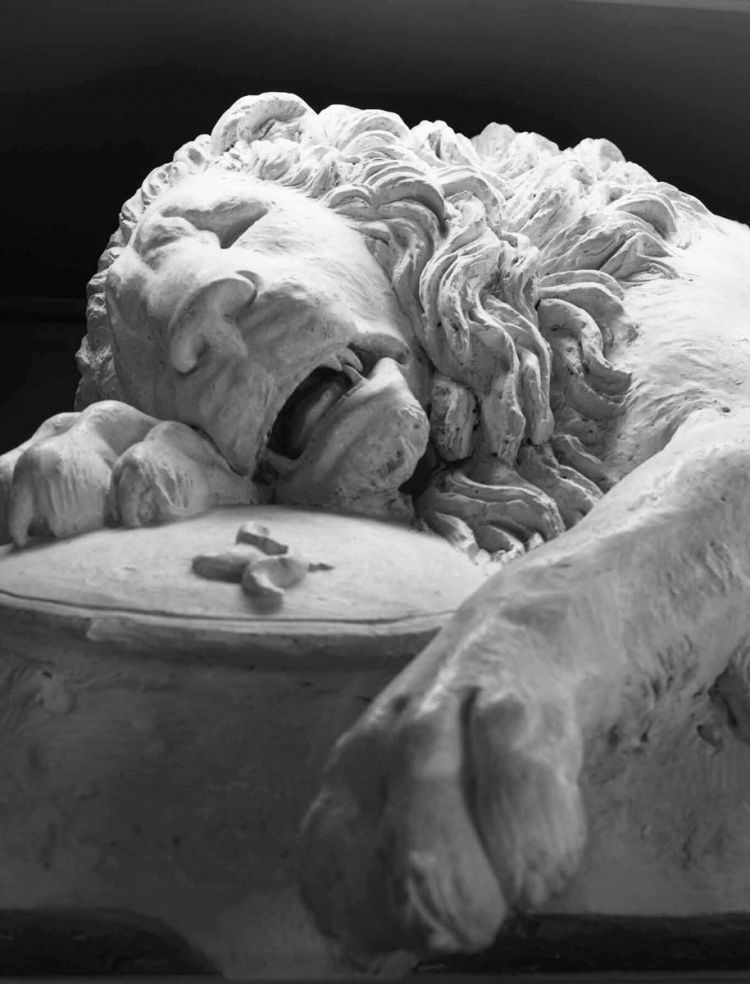 Ill. 2: Thorvaldsen’s plaster cast of Lion protecting the Bourbon fleur-de-lis, 1819